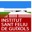 Institut Sant Feliu de Guíxols logo